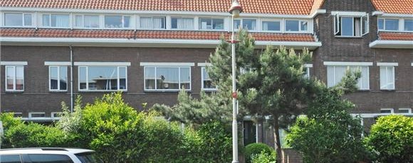 van diep.134
